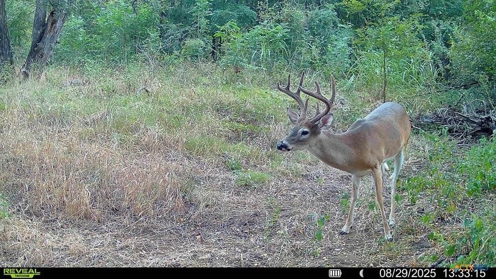 24.6 acres in Bell County - photo 36