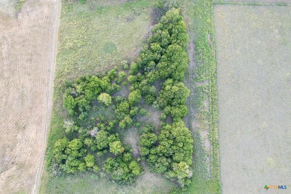 24.6 acres in Bell County - photo 2