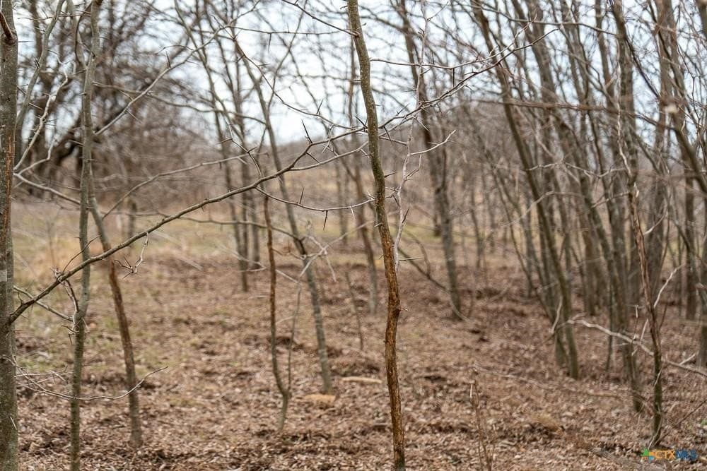 24.6 acres in Bell County - photo 20