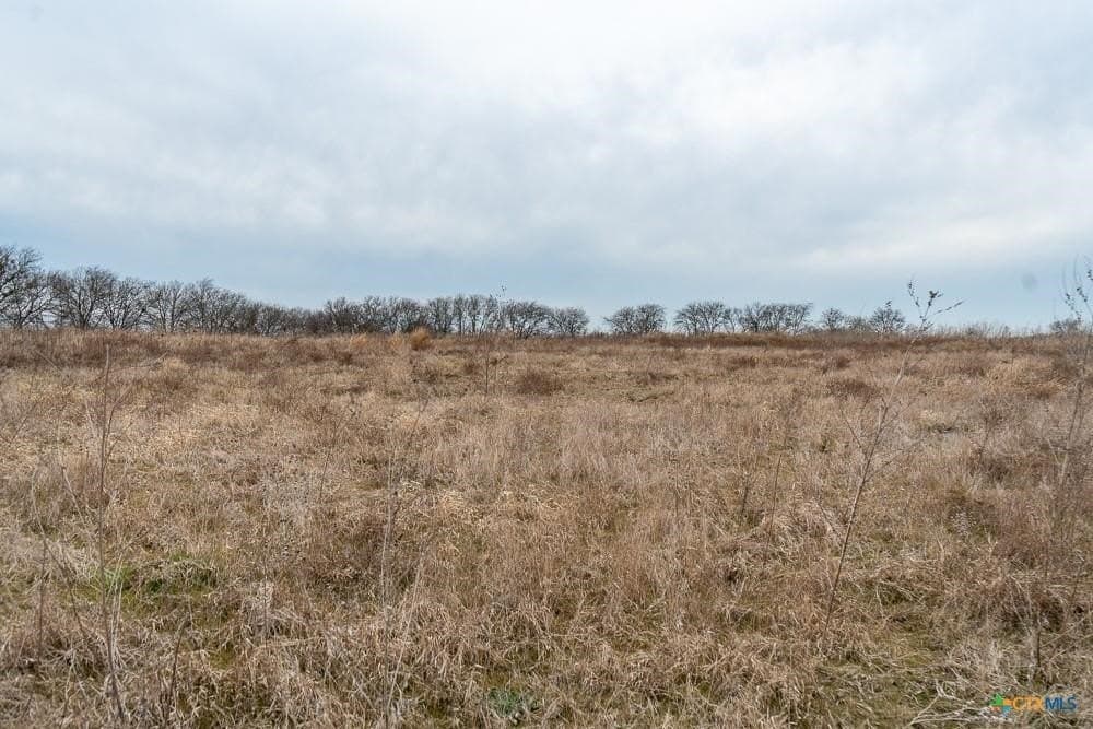 24.6 acres in Bell County - photo 18