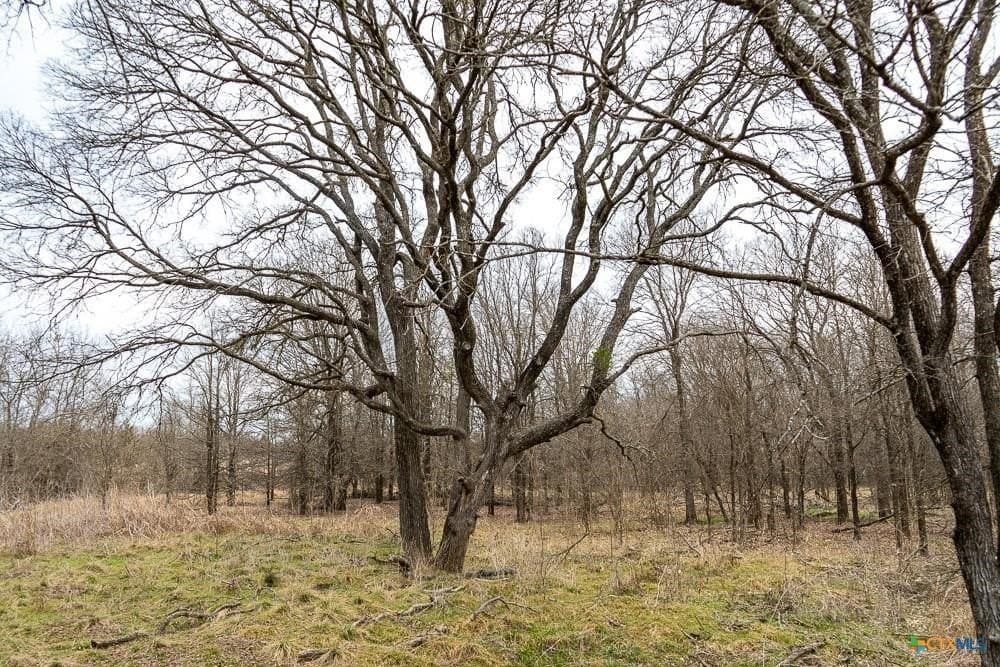 24.6 acres in Bell County - photo 24