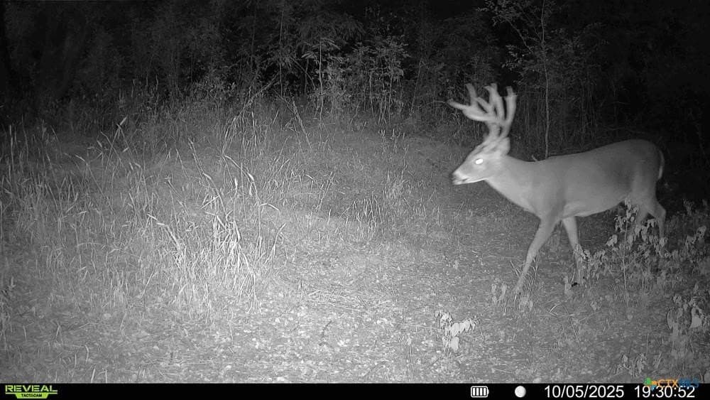 24.6 acres in Bell County - photo 34