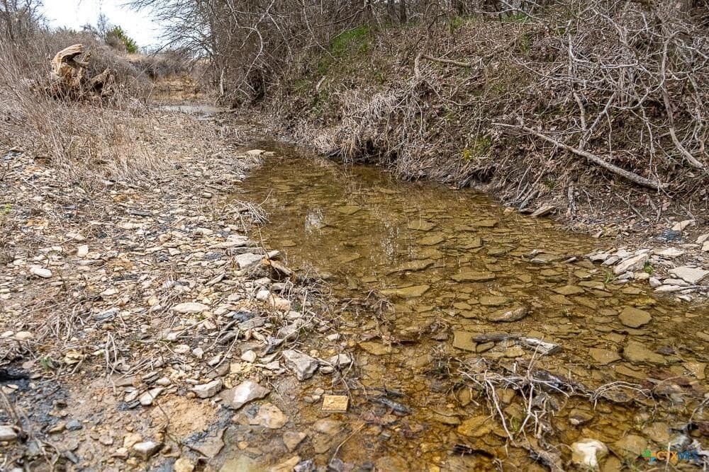 24.6 acres in Bell County - photo 26