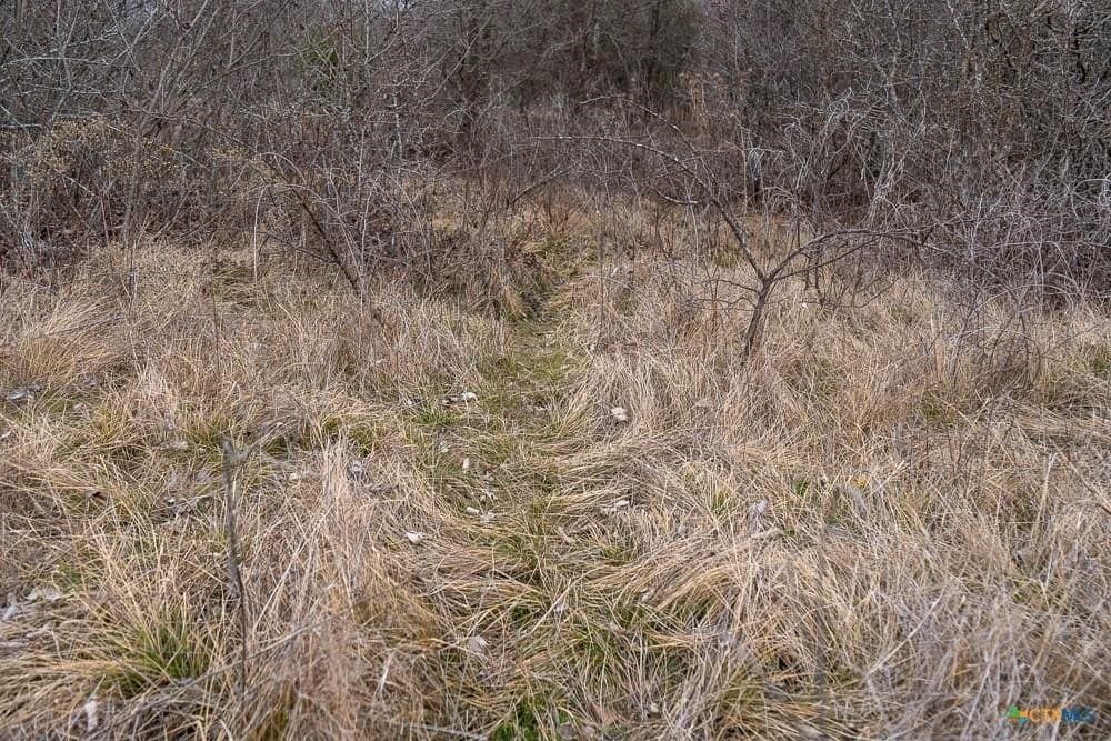 24.6 acres in Bell County - photo 15