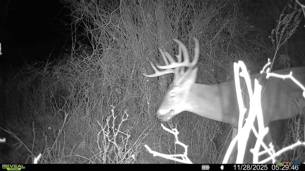 24.6 acres in Bell County - photo 32