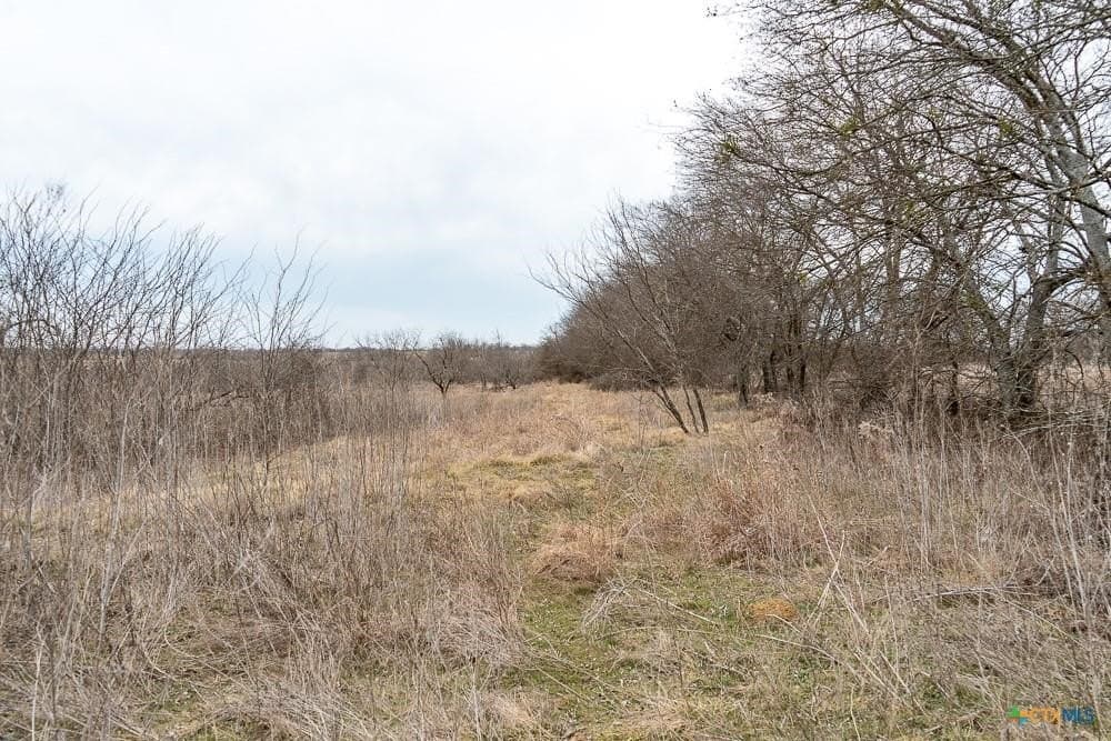 24.6 acres in Bell County - photo 19
