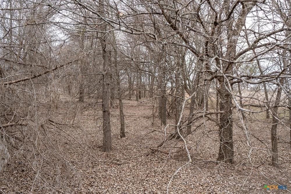 24.6 acres in Bell County - photo 16