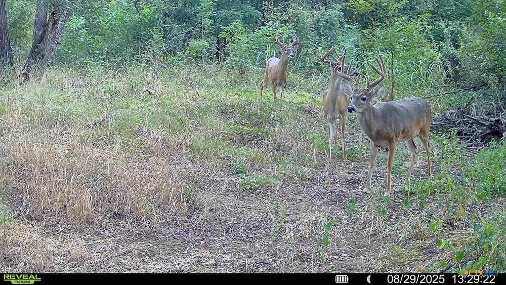 24.6 acres in Bell County - photo 35