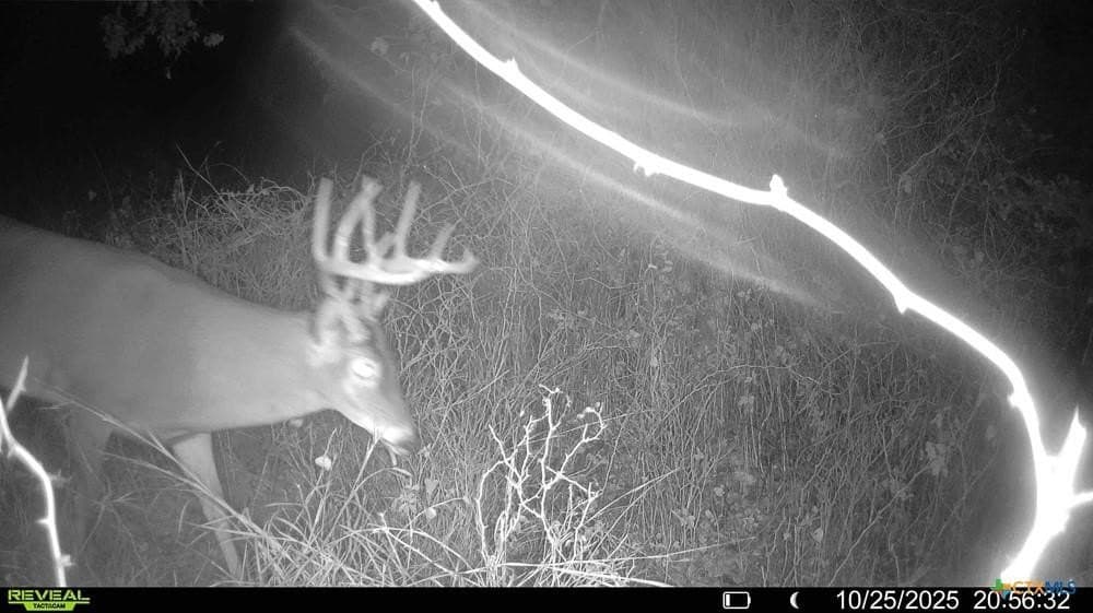 24.6 acres in Bell County - photo 33