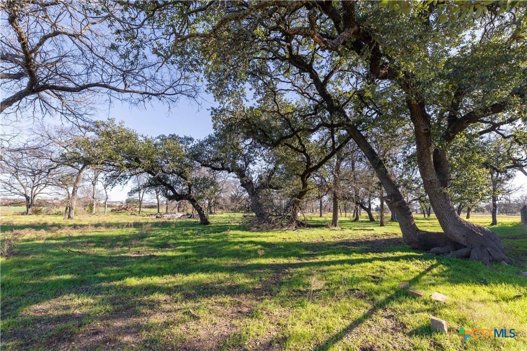 93.45 acres in Coryell County gallery image 4
