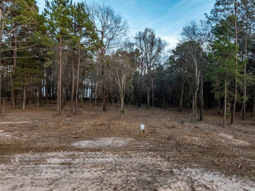 1.28 acres in Anderson County gallery image 2