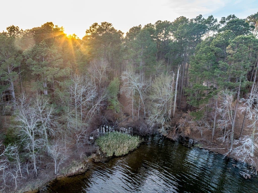 1.28 acres in Anderson County gallery image 3