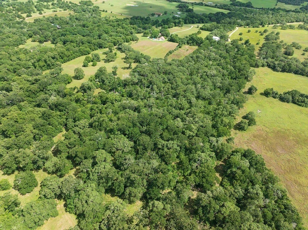 15.83 acres in Fayette County - photo 15
