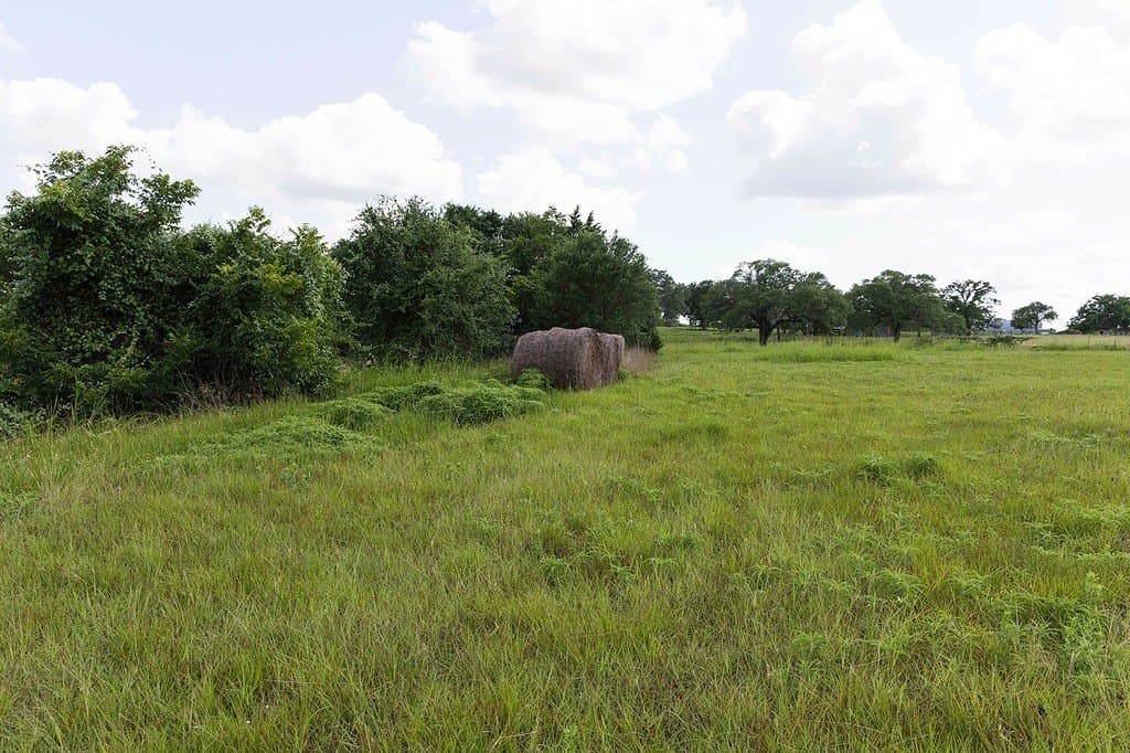 15.83 acres in Fayette County - photo 11