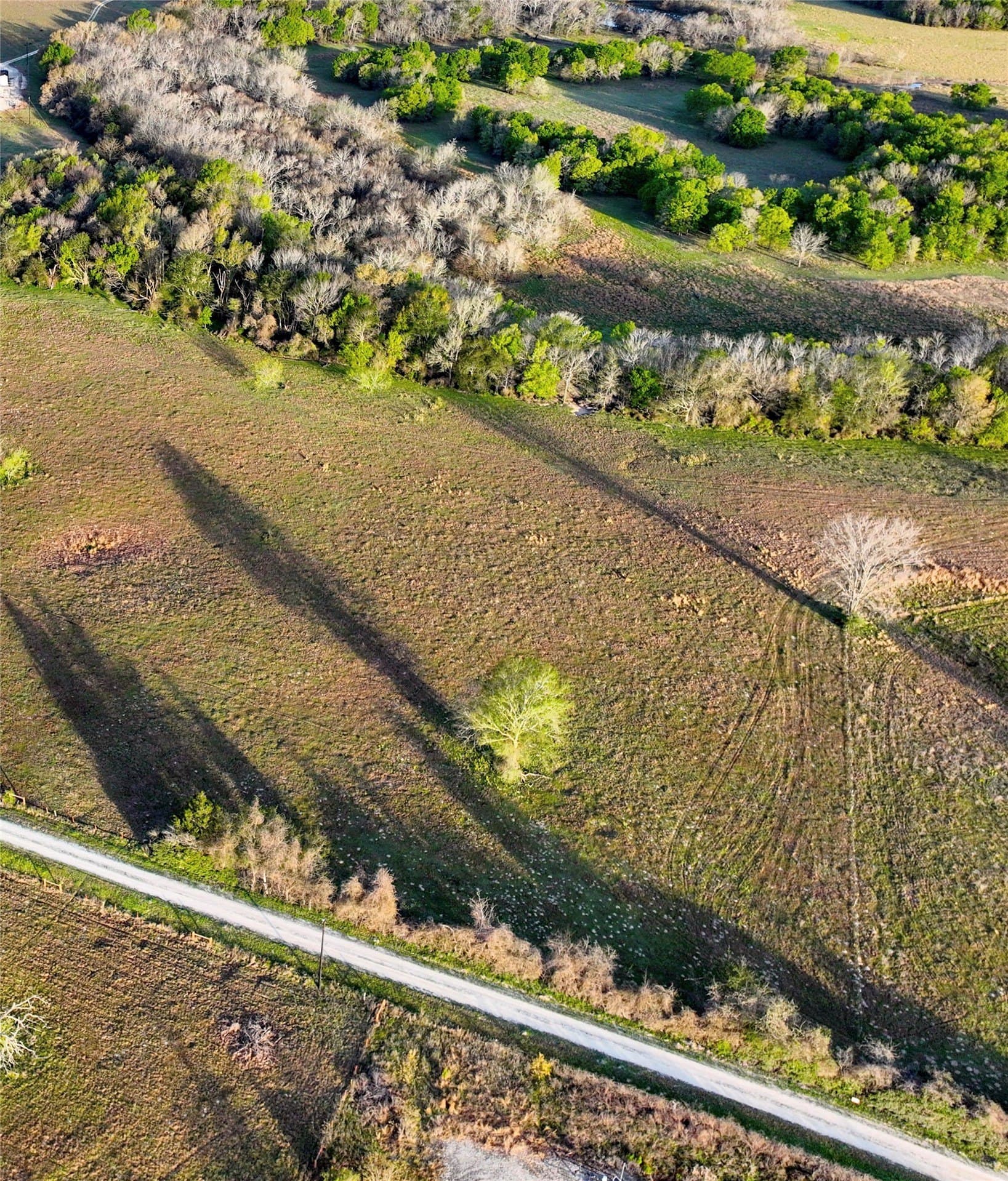 10 acres in Leon County - photo 11
