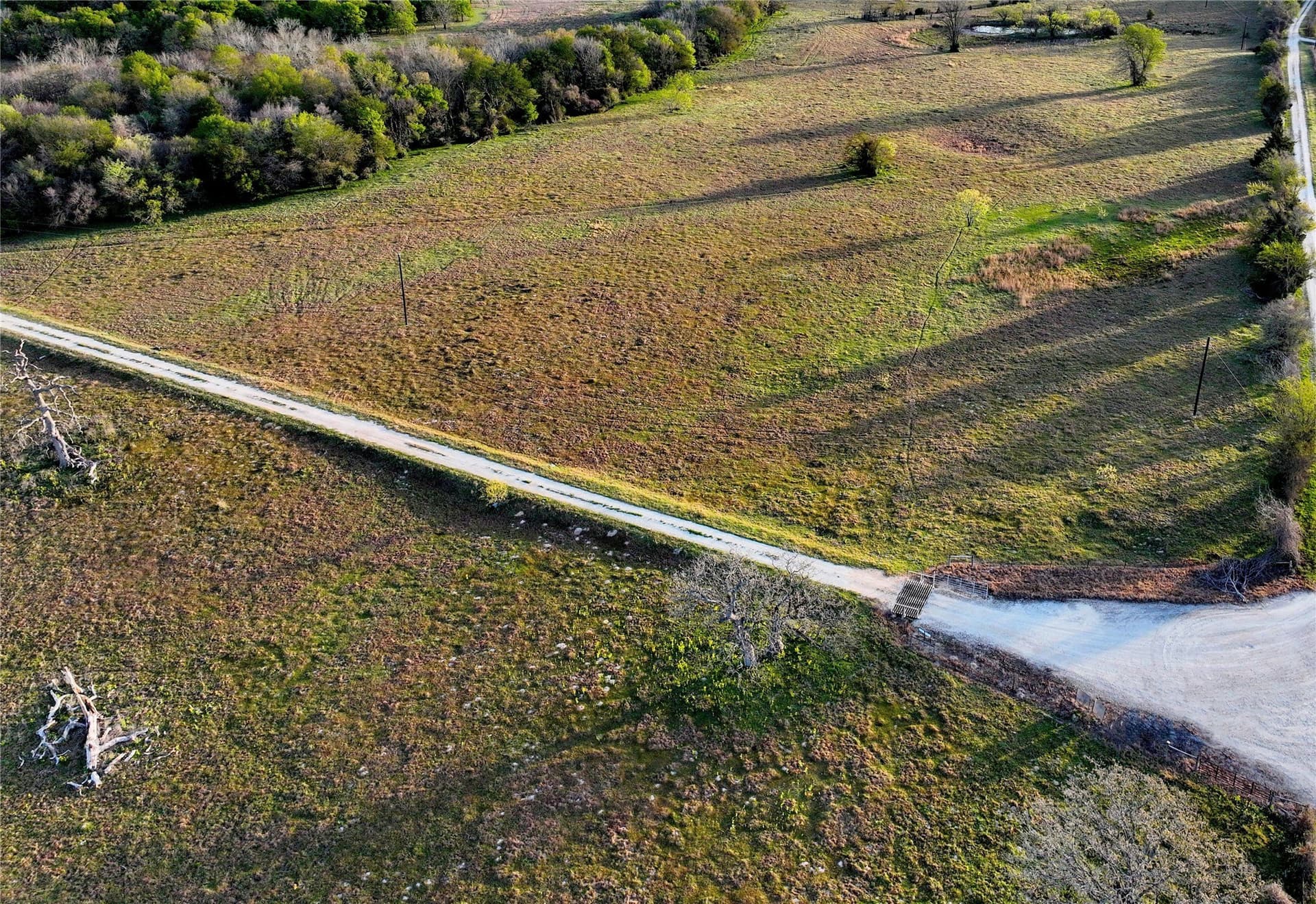 10 acres in Leon County - photo 10