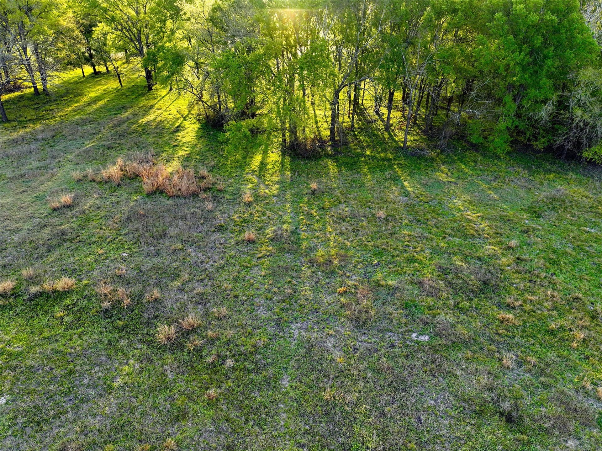 10 acres in Leon County - photo 9