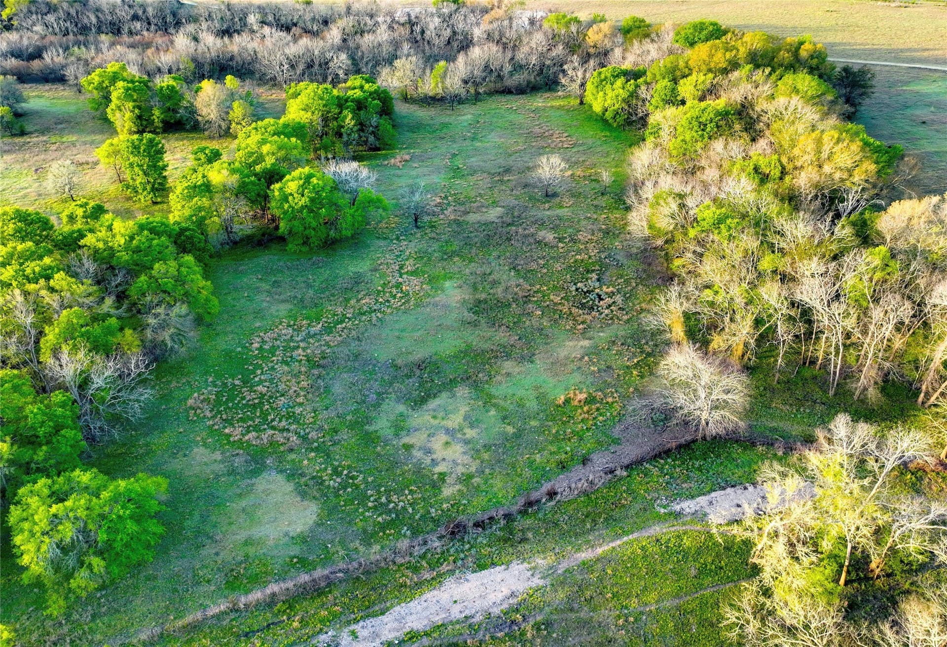 10 acres in Leon County - photo 12
