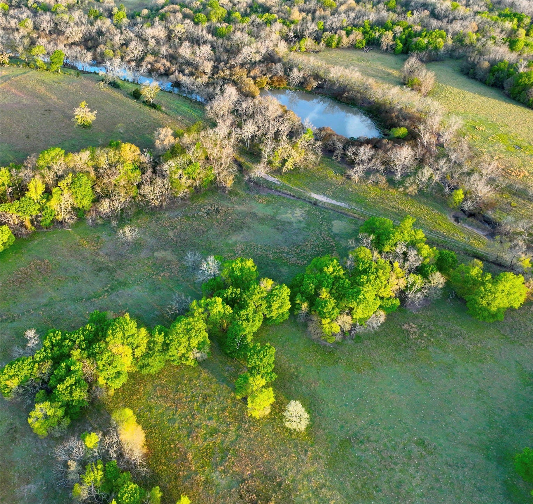 10 acres in Leon County - photo 13