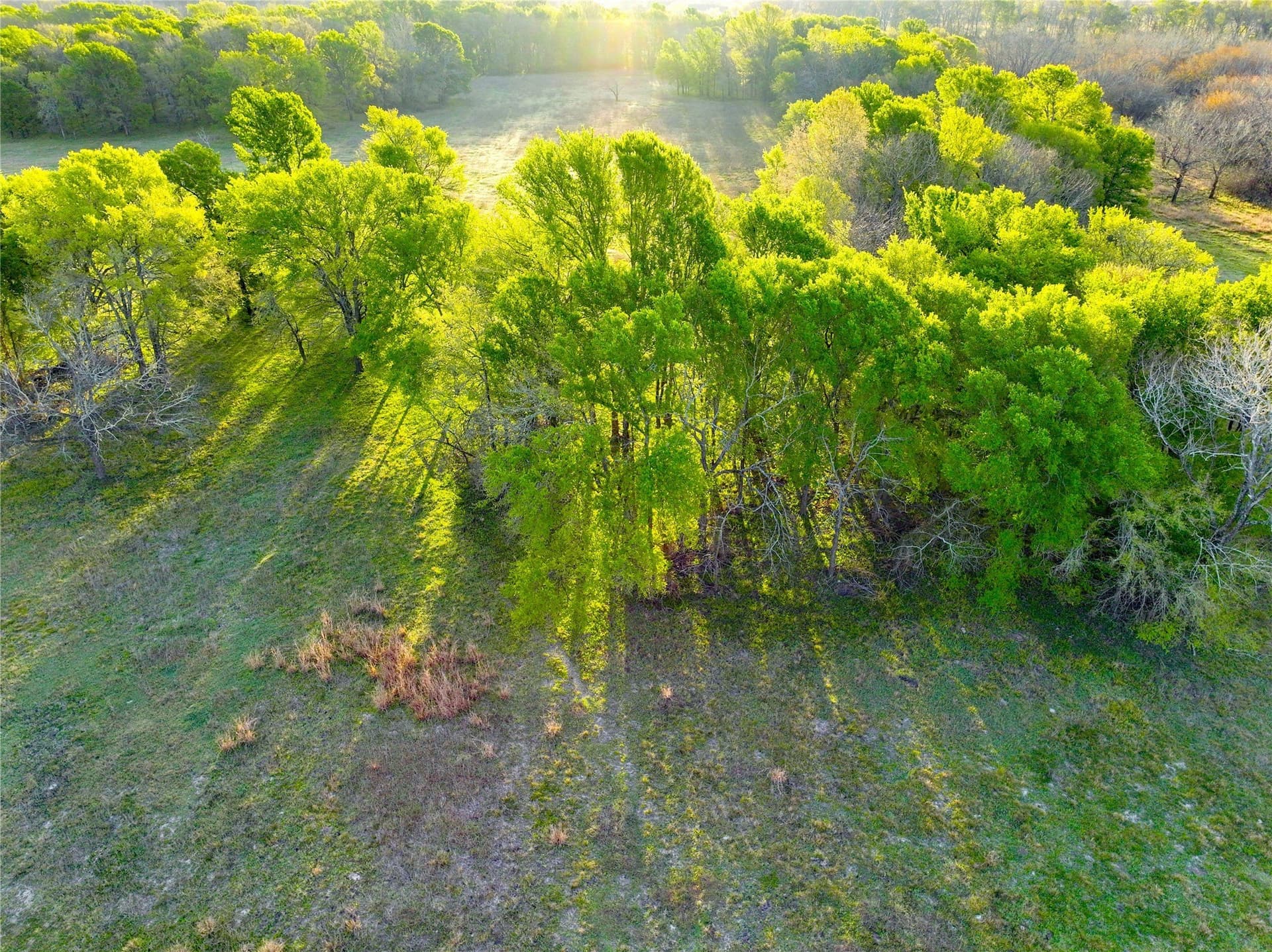 10 acres in Leon County - photo 4