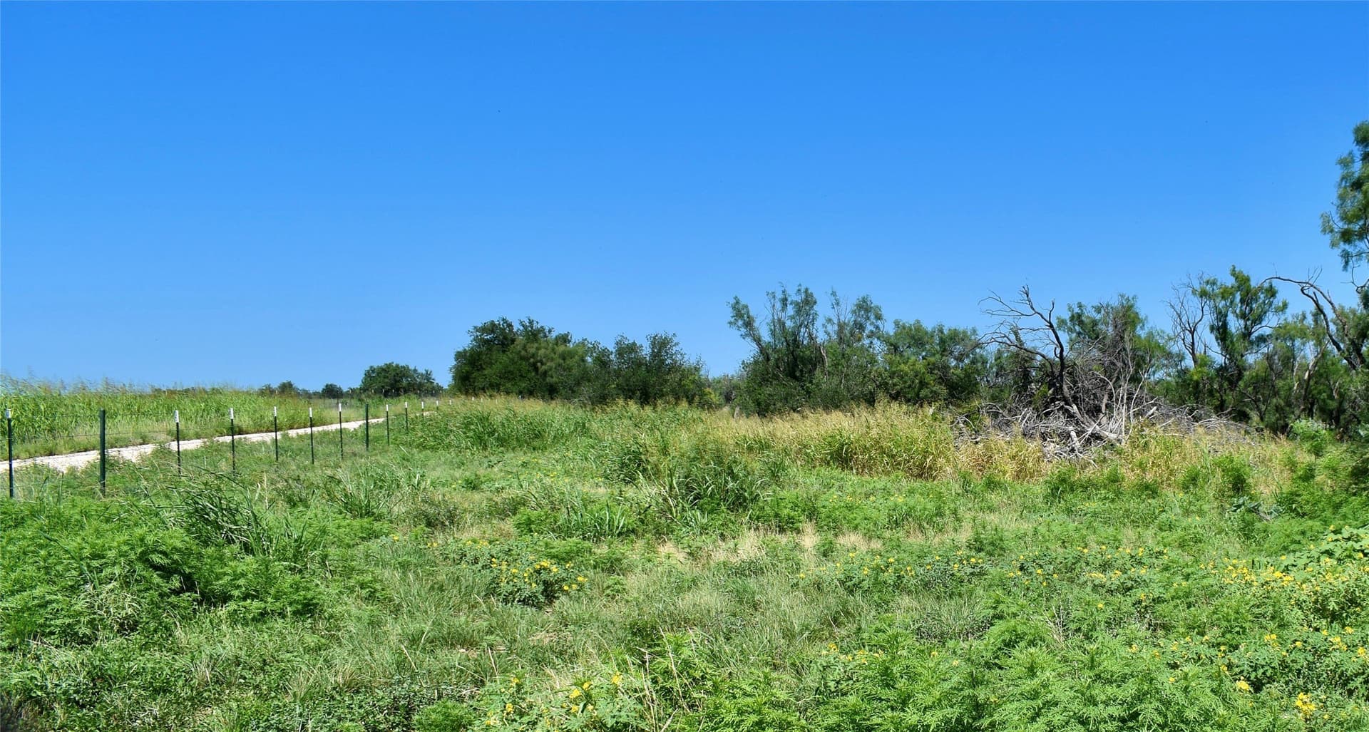 160.86 acres in McCulloch County gallery image 4