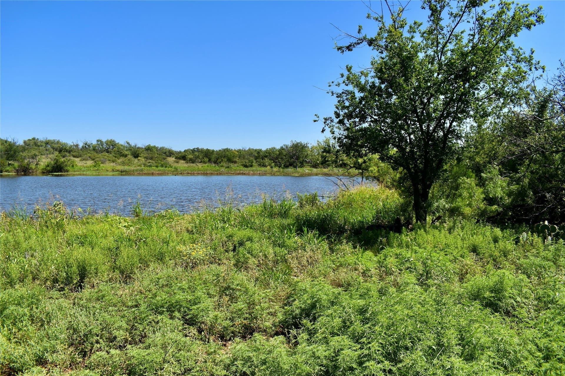 160.86 acres in McCulloch County featured view