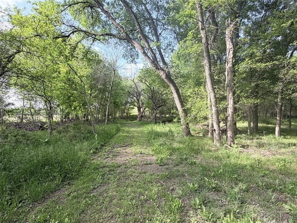 28 acres in Hill County featured view