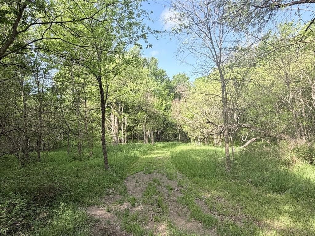 28 acres in Hill County gallery image 4