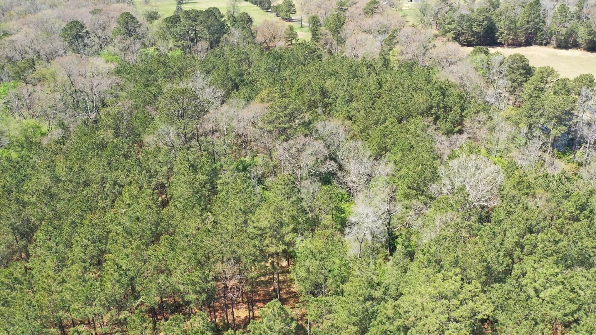 3 acres in Texas County gallery image 4