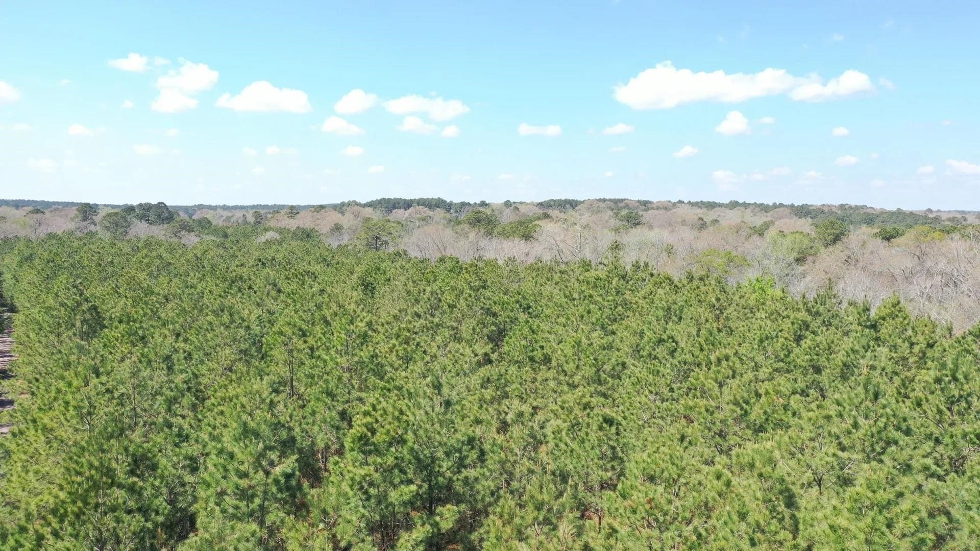 3 acres in Texas County gallery image 2