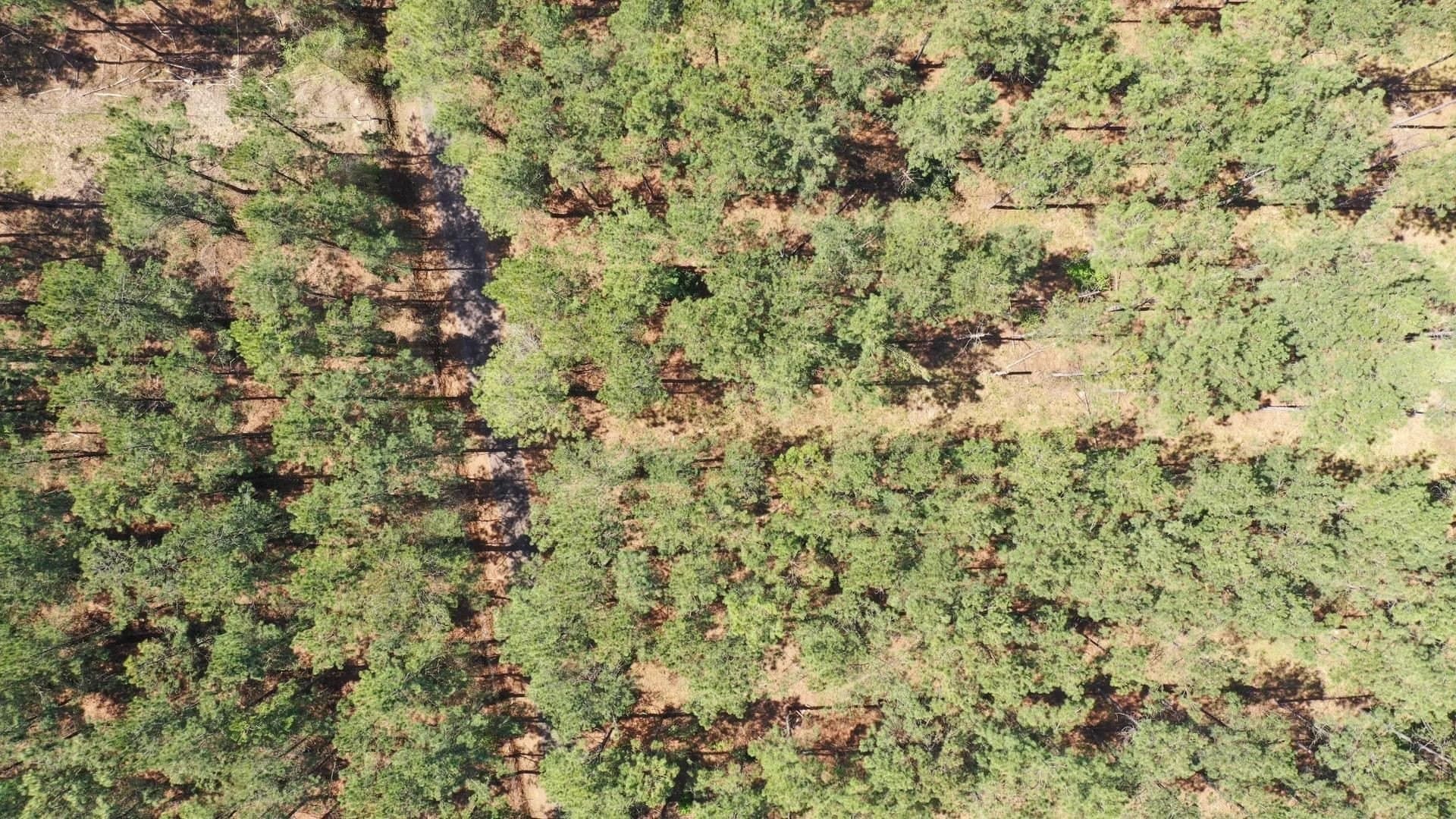 3 acres in Texas County gallery image 3