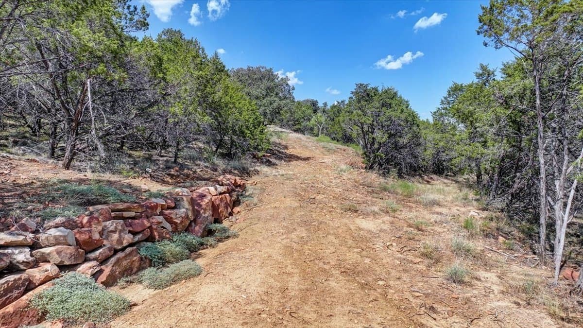 10.84 acres in Palo Pinto County - photo 37