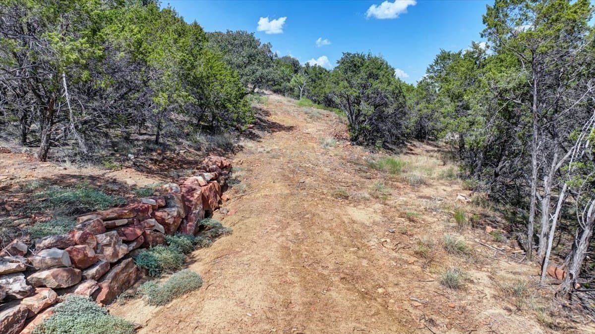10.84 acres in Palo Pinto County - photo 33