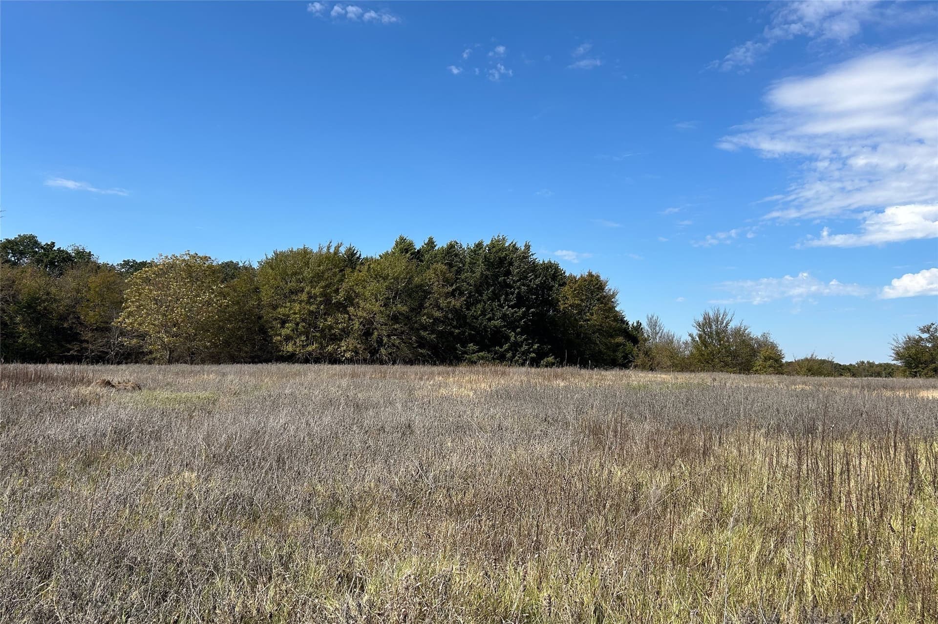 15 acres in Cooke County - photo 7