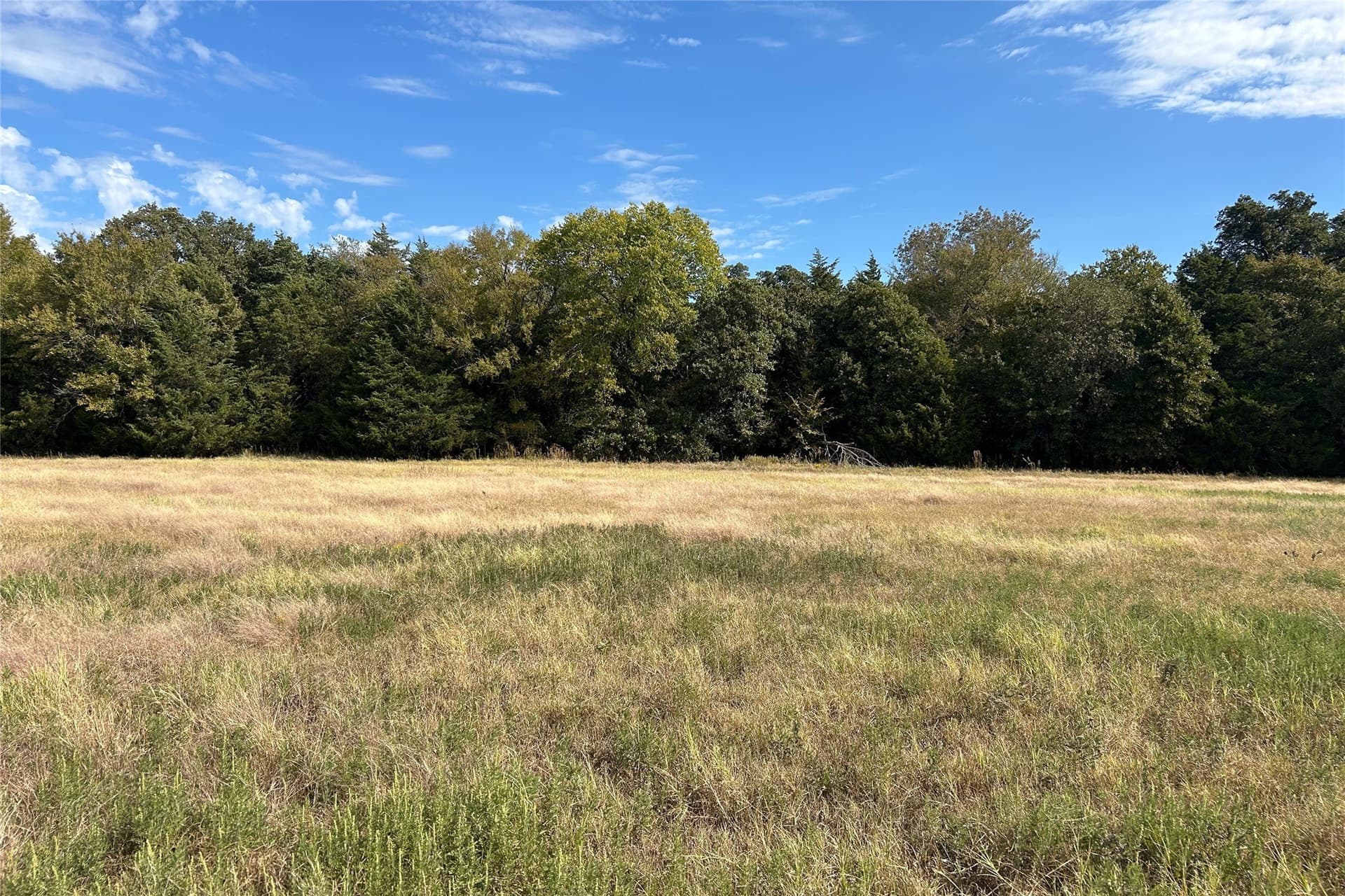 15 acres in Cooke County - photo 4