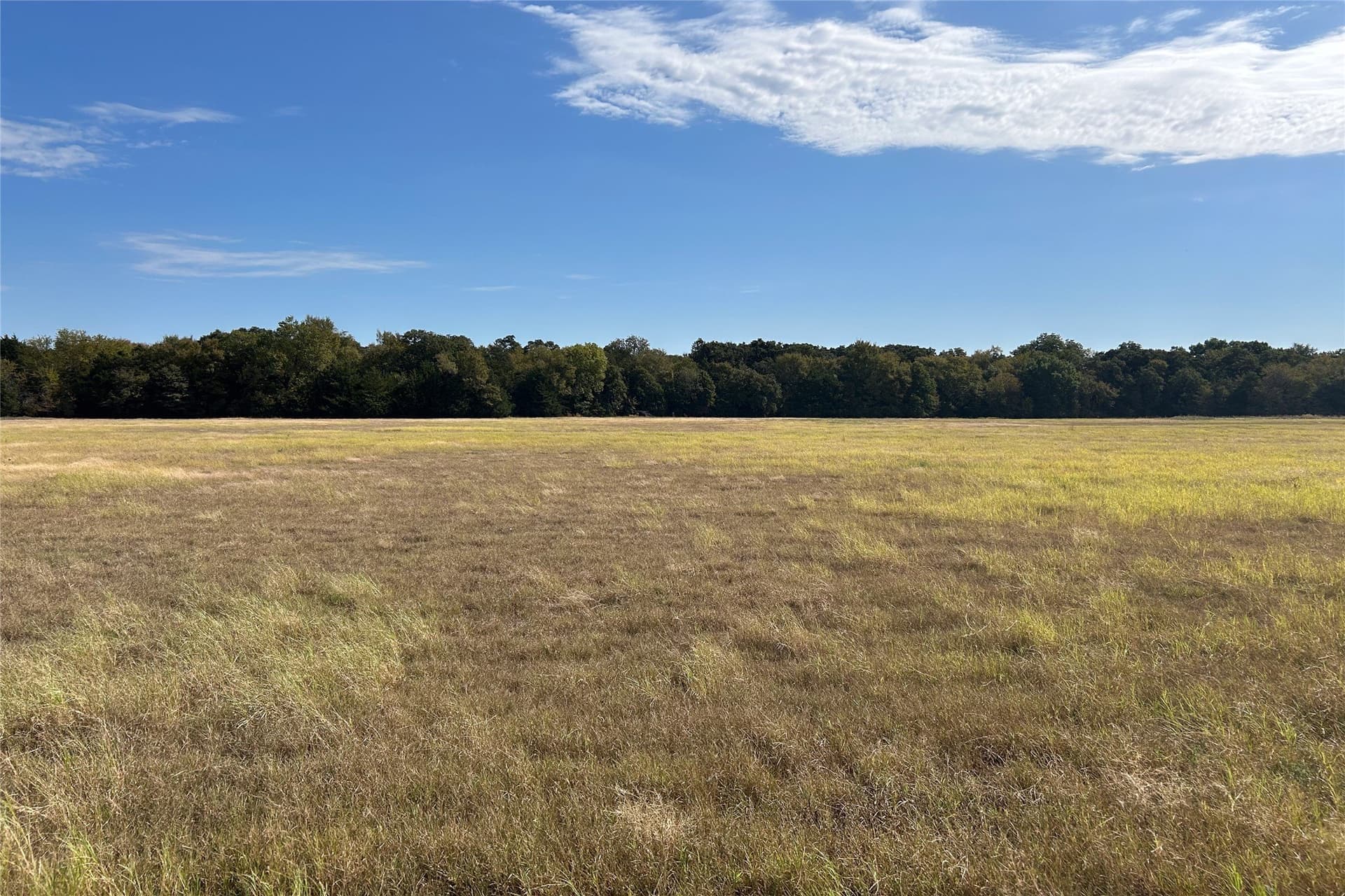 15 acres in Cooke County - photo 2