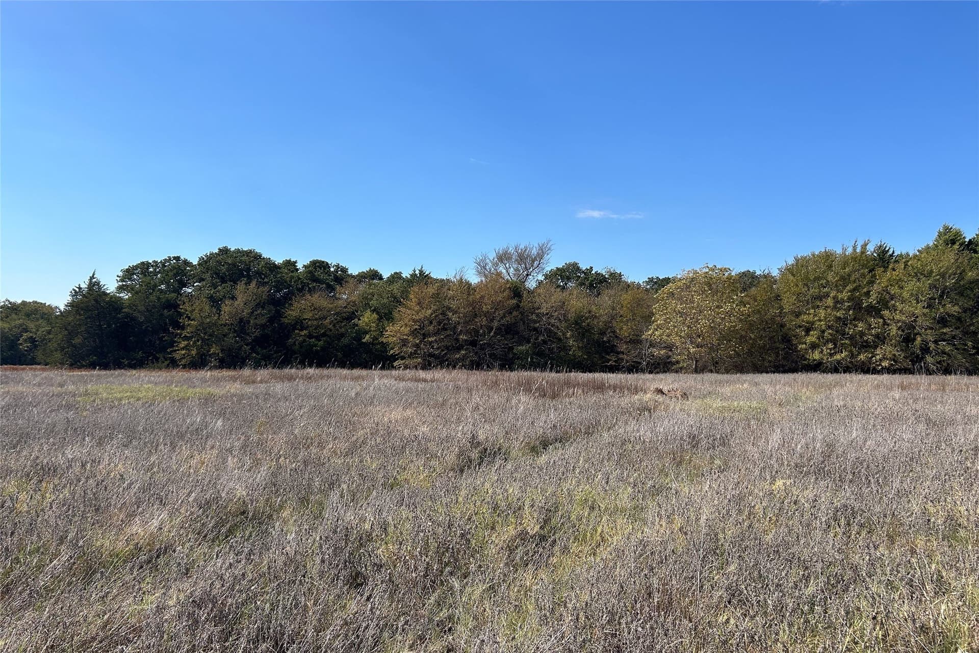 15 acres in Cooke County - photo 6
