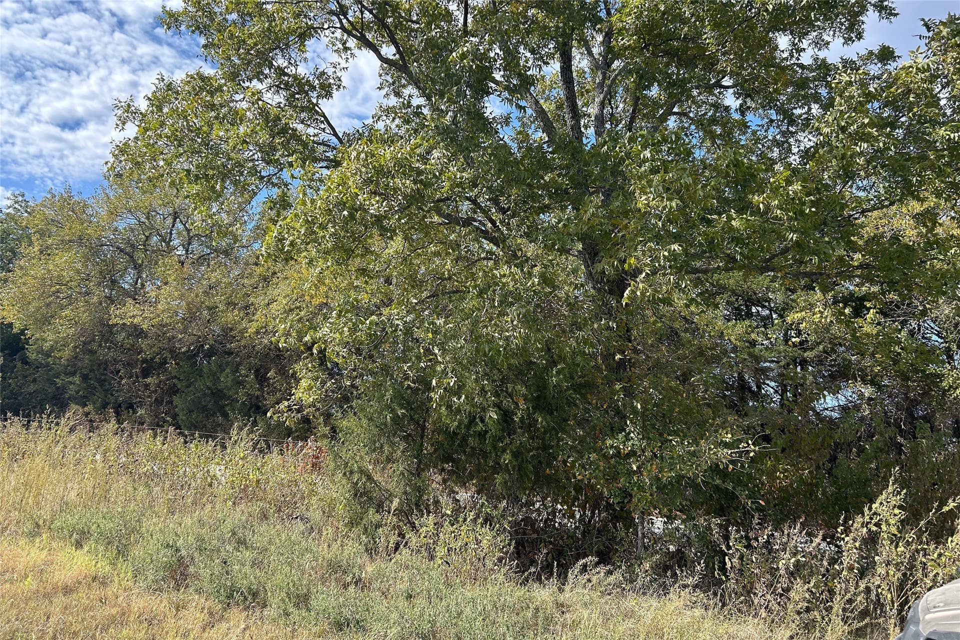 15 acres in Cooke County - photo 5