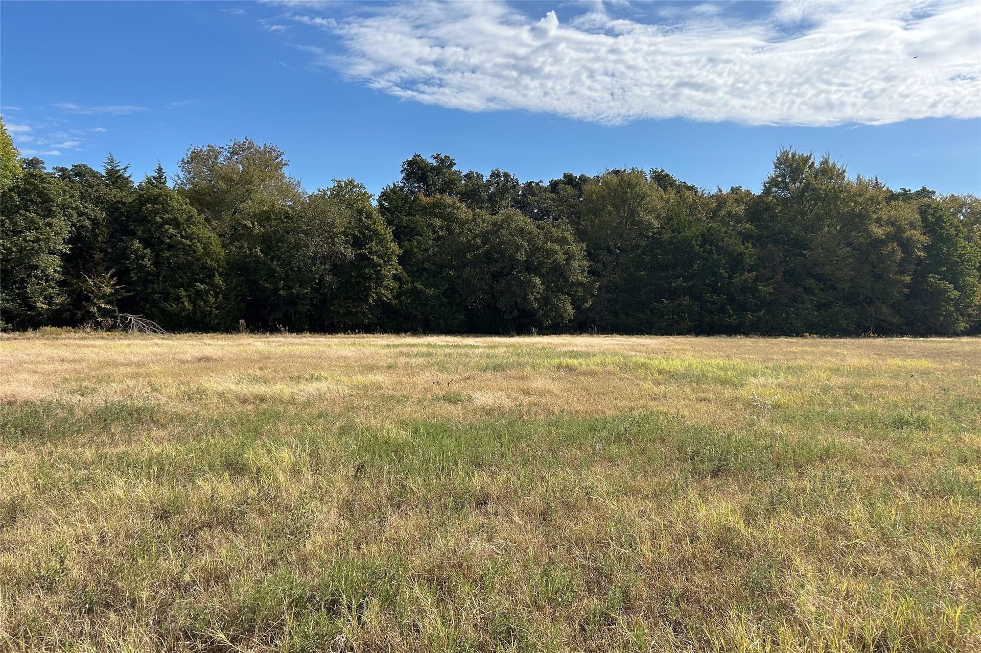 15 acres in Cooke County - photo 3