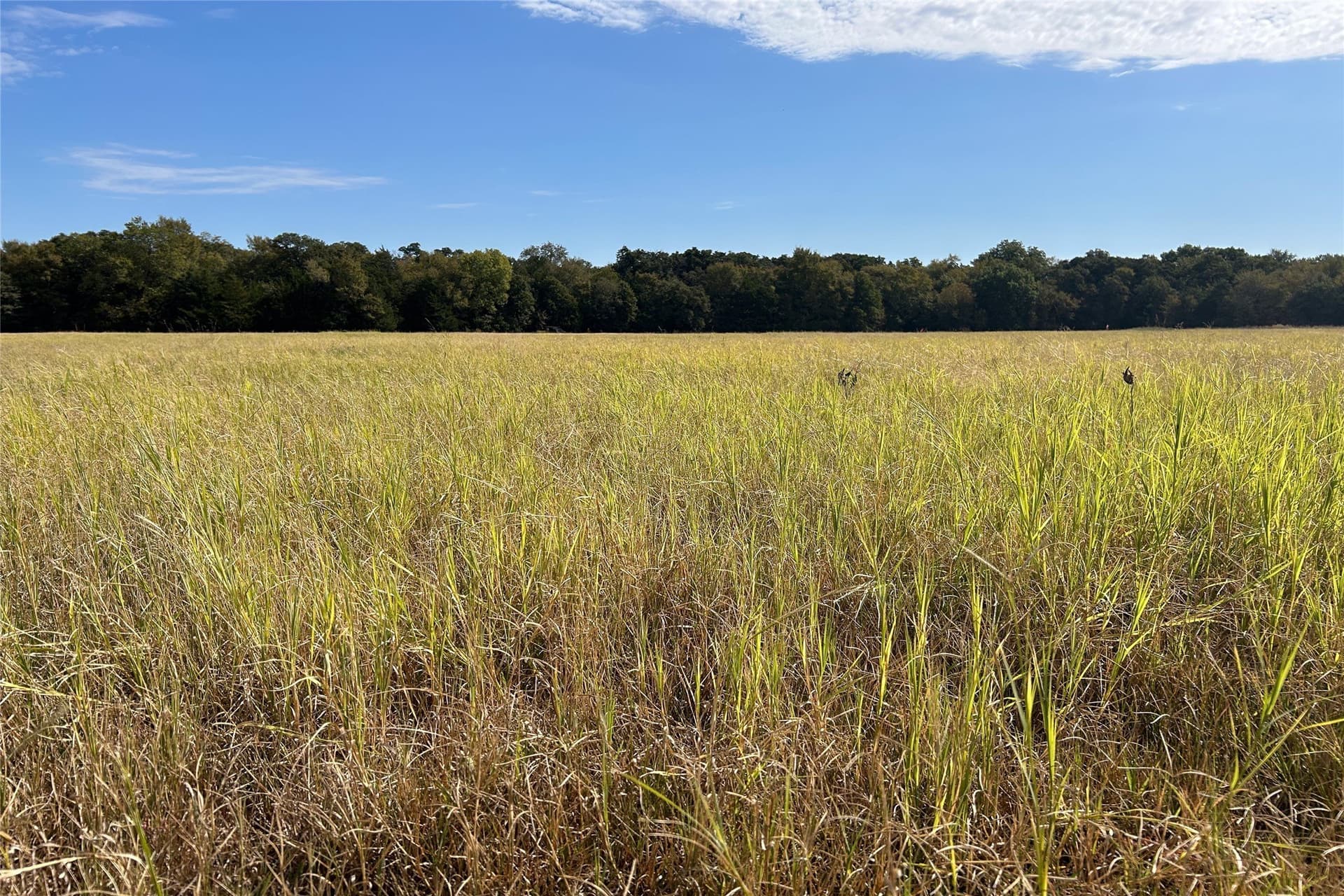 15 acres in Cooke County