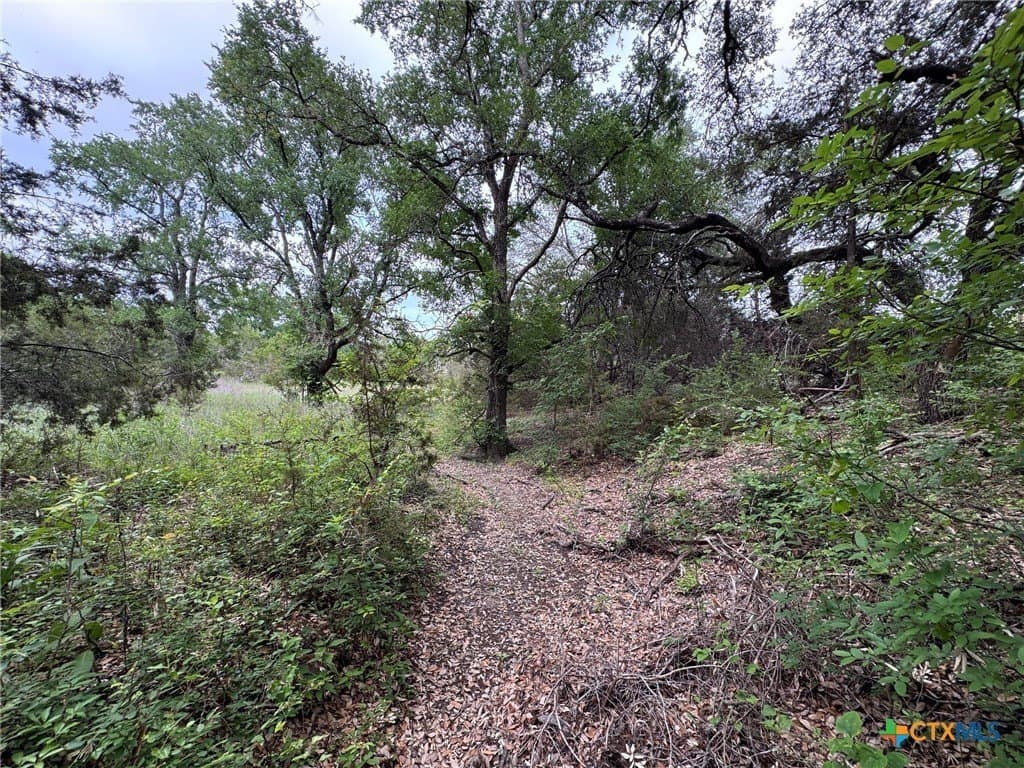 10.01 acres in Hamilton County - photo 14