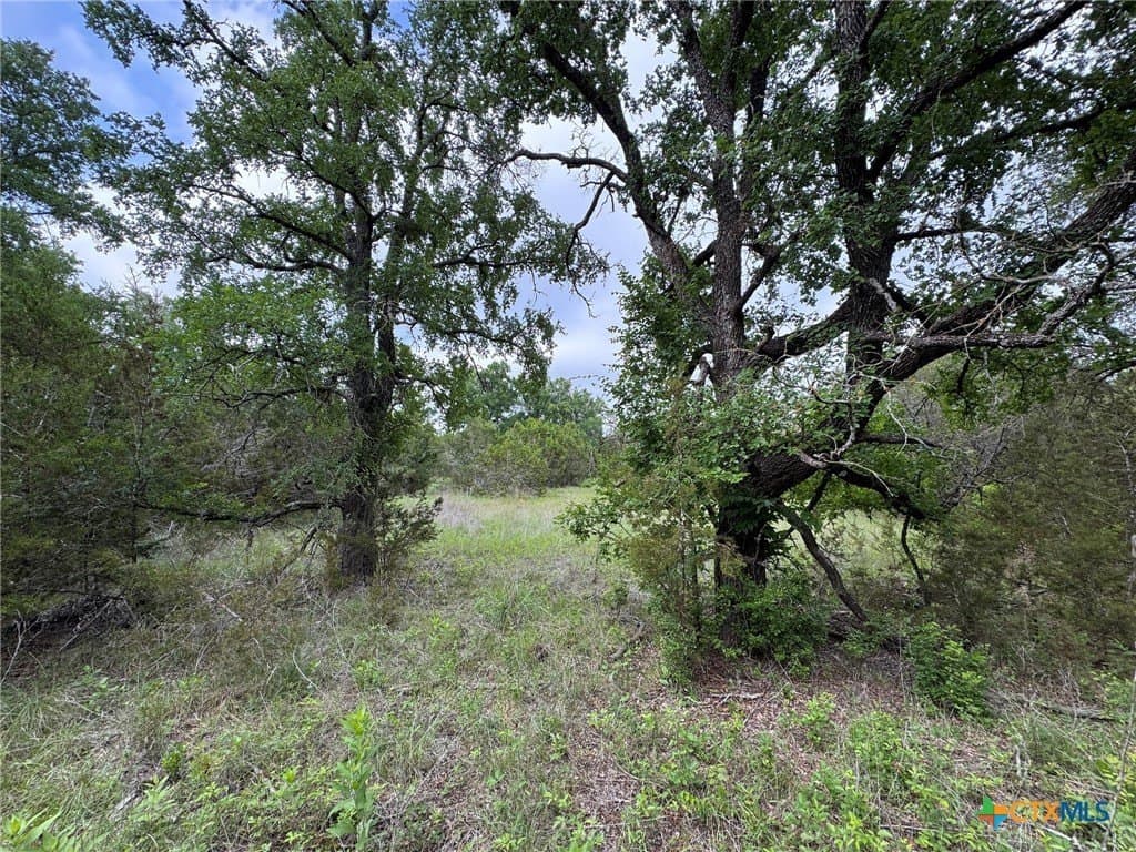 10.01 acres in Hamilton County - photo 13