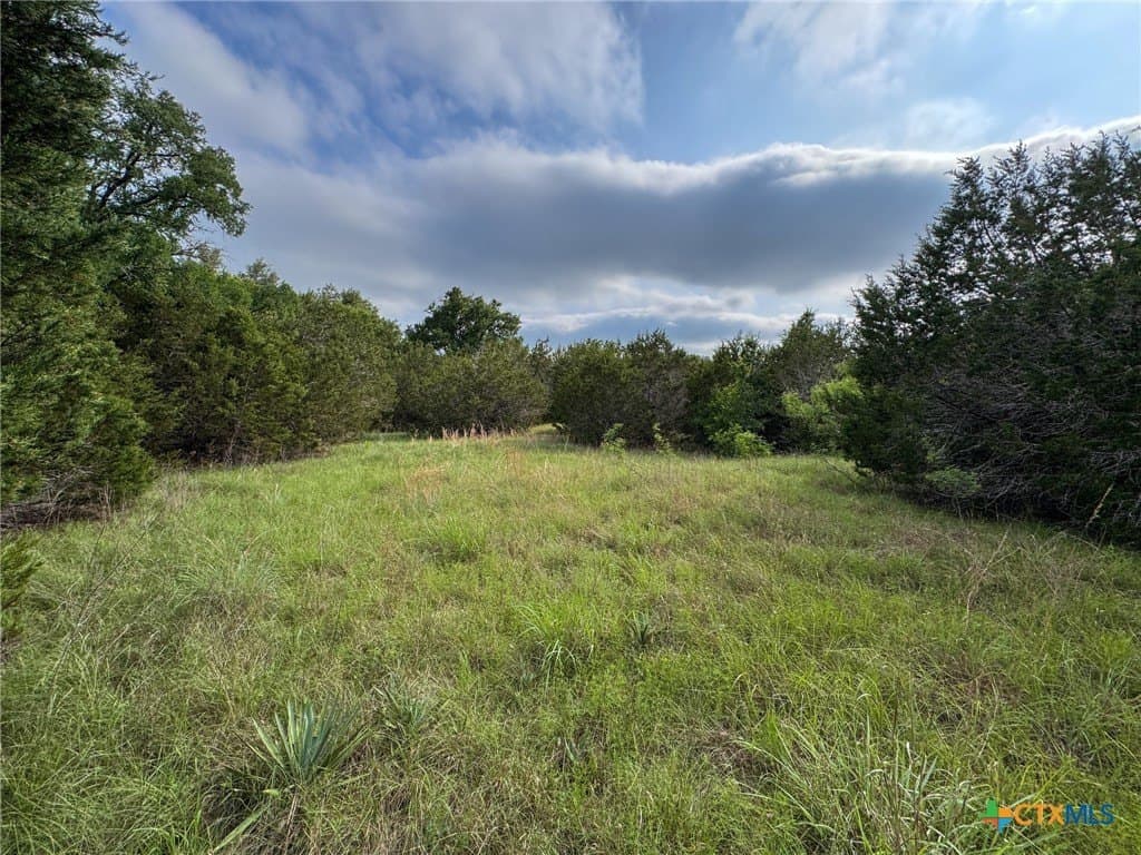 10.01 acres in Hamilton County - photo 9