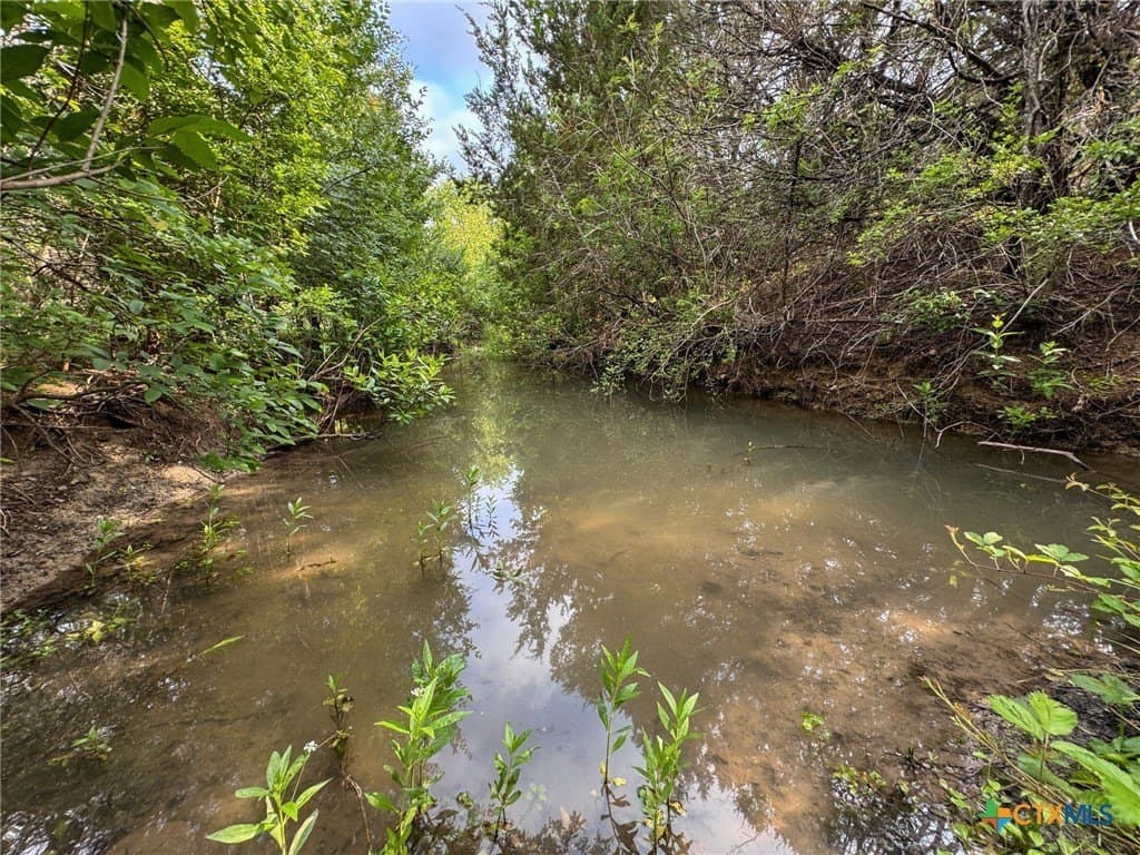 10.01 acres in Hamilton County gallery image 3