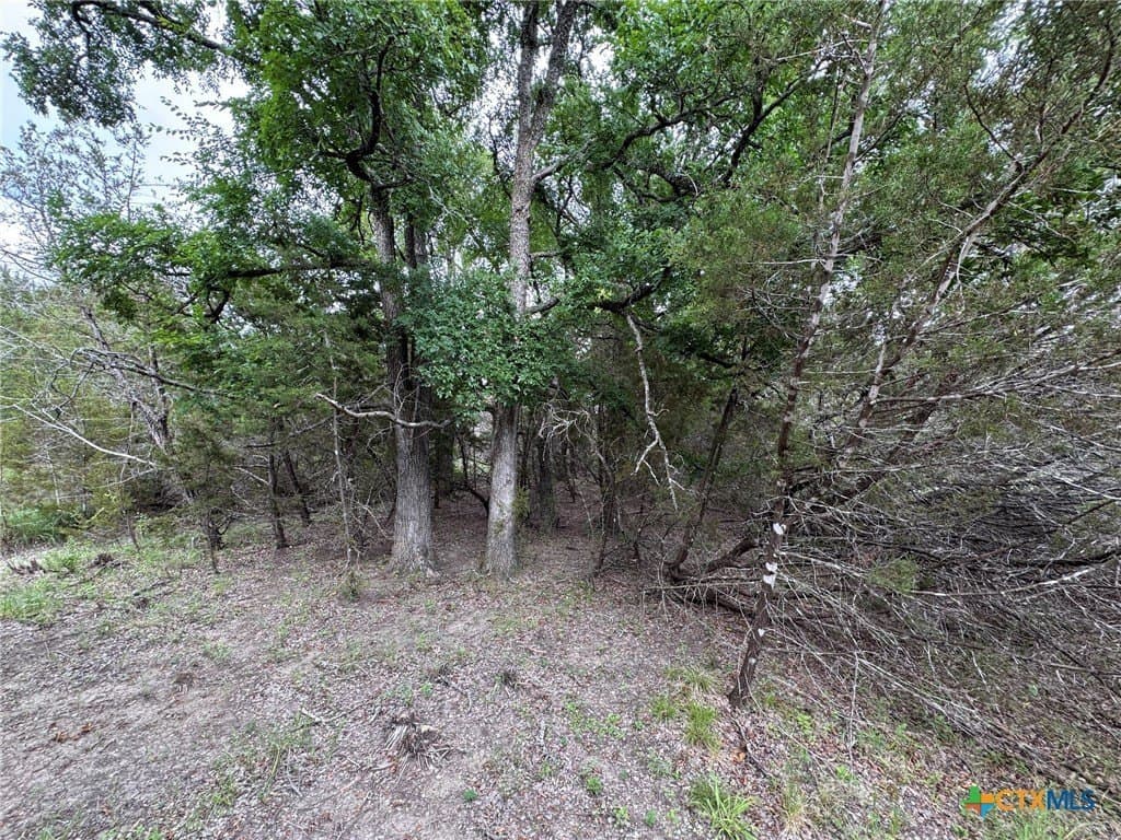 10.01 acres in Hamilton County - photo 11