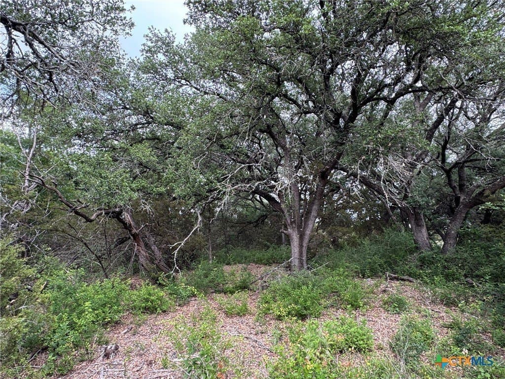 10.01 acres in Hamilton County - photo 15