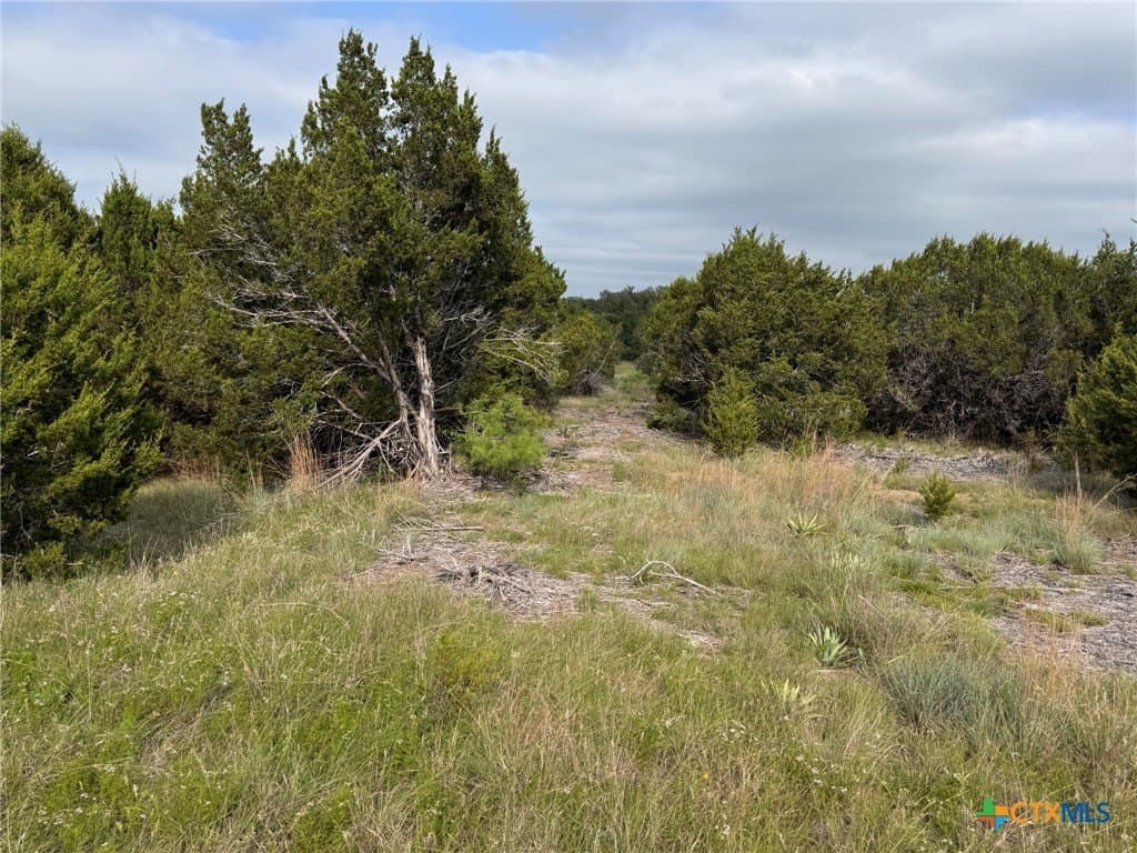 10.01 acres in Hamilton County - photo 17
