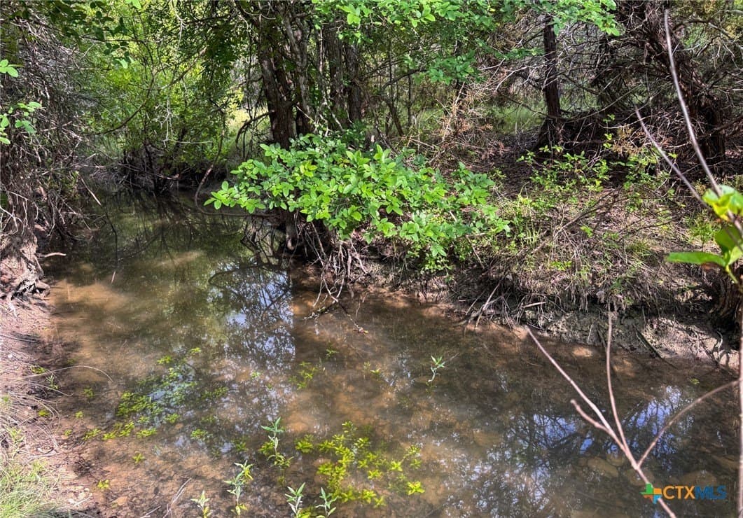 10.01 acres in Hamilton County gallery image 2