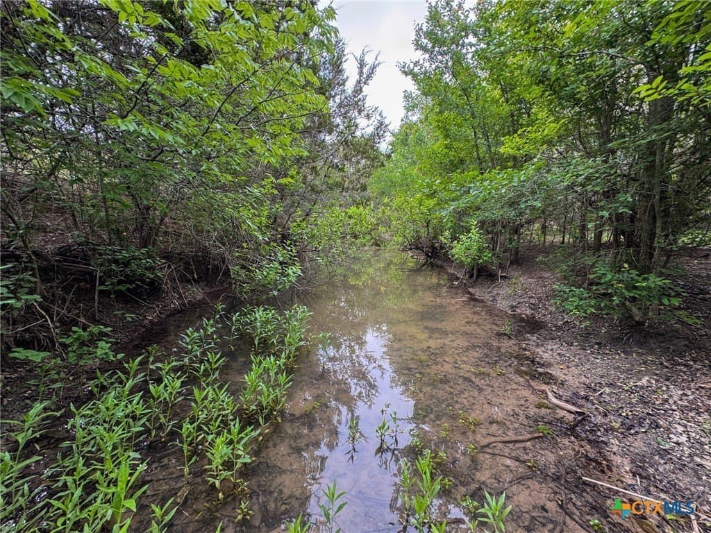 10.01 acres in Hamilton County gallery image 4