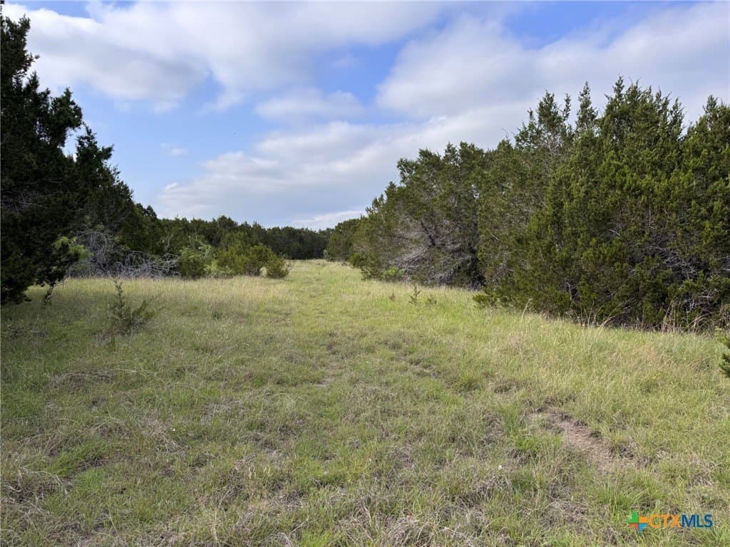 10.01 acres in Hamilton County - photo 16